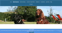 Desktop Screenshot of decasla.com